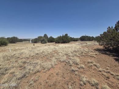 POTENTIAL FOR EXPANSION OR INVESTMENT - Enjoy the space and on Silver Creek Golf Club in Arizona - for sale on GolfHomes.com, golf home, golf lot