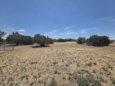 POTENTIAL FOR EXPANSION OR INVESTMENT - Enjoy the space and on Silver Creek Golf Club in Arizona - for sale on GolfHomes.com, golf home, golf lot