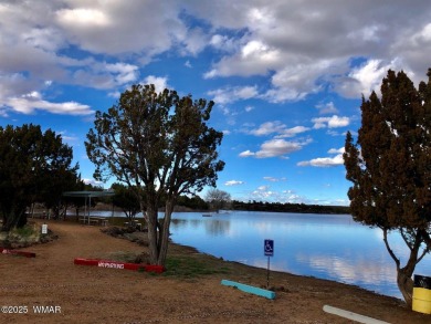 POTENTIAL FOR EXPANSION OR INVESTMENT - Enjoy the space and on Silver Creek Golf Club in Arizona - for sale on GolfHomes.com, golf home, golf lot