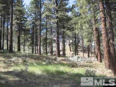 BUILD YOUR DREAM HOME!!! Spectacular sunny and wooded 5.57 acre on Toiyabe Golf Course in Nevada - for sale on GolfHomes.com, golf home, golf lot