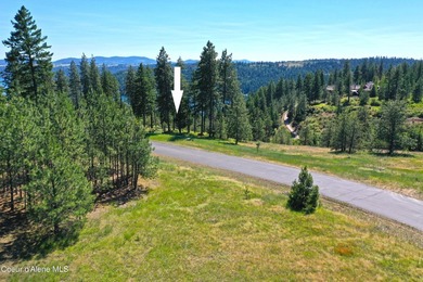 BEAUTIFUL BUILDING SITE WITH CDA LAKE VIEWS AT PRESTIGIOUS BLACK on The Golf Club at Black Rock in Idaho - for sale on GolfHomes.com, golf home, golf lot