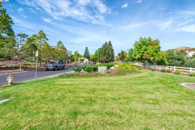 Nestled within the picturesque  Hiddenbrooke golf course on Hiddenbrooke Golf Club in California - for sale on GolfHomes.com, golf home, golf lot