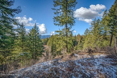 Enjoy beautiful western exposure from this 1.1-acre Moose on The Idaho Club in Idaho - for sale on GolfHomes.com, golf home, golf lot