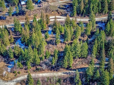 Enjoy beautiful western exposure from this 1.1-acre Moose on The Idaho Club in Idaho - for sale on GolfHomes.com, golf home, golf lot
