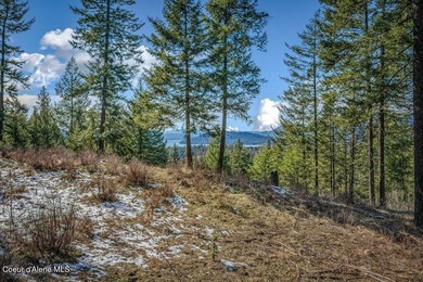 Enjoy beautiful western exposure from this 1.1-acre Moose on The Idaho Club in Idaho - for sale on GolfHomes.com, golf home, golf lot