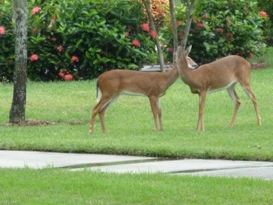 Panoramic West facing lake and fairway views abound in this on Cedar Hammock Golf and Country Club in Florida - for sale on GolfHomes.com, golf home, golf lot