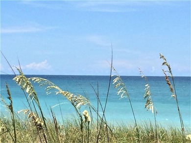 *Water View * First Floor * Two Bedroom / Two Bath Condo In on The American Golf Club in Florida - for sale on GolfHomes.com, golf home, golf lot