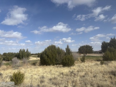 Nestled in the prestigious Eagle Crest neighborhood, this prime on Silver Creek Golf Club in Arizona - for sale on GolfHomes.com, golf home, golf lot