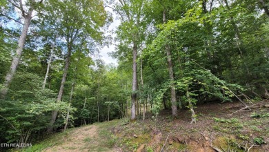 Are you ready to build your dream home in the mountains? on Mountain Ridge Golf Club in Tennessee - for sale on GolfHomes.com, golf home, golf lot