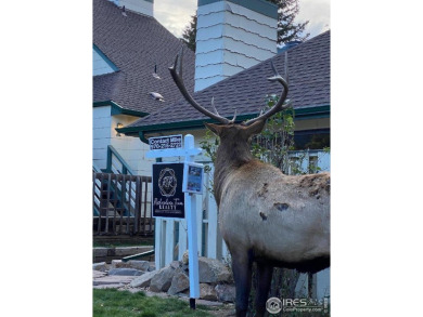 Looking for an immaculately maintained, main-level condo? Look on Estes Park Golf Course in Colorado - for sale on GolfHomes.com, golf home, golf lot