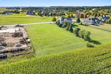 Gorgeous and spacious almost 1 acre lot with no backyard on Whitetail Ridge Golf Course in Illinois - for sale on GolfHomes.com, golf home, golf lot