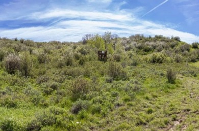 Lot 43 at Alpine Mountain Ranch & Club offers the most connected on Catamount Ranch and Club in Colorado - for sale on GolfHomes.com, golf home, golf lot