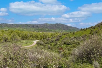 Lot 43 at Alpine Mountain Ranch & Club offers the most connected on Catamount Ranch and Club in Colorado - for sale on GolfHomes.com, golf home, golf lot