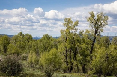 Lot 43 at Alpine Mountain Ranch & Club offers the most connected on Catamount Ranch and Club in Colorado - for sale on GolfHomes.com, golf home, golf lot