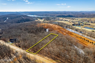 Yes-you can have it all! Build your dream home in Tennessee on Tennessee National Golf Club in Tennessee - for sale on GolfHomes.com, golf home, golf lot