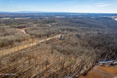 Yes-you can have it all! Build your dream home in Tennessee on Tennessee National Golf Club in Tennessee - for sale on GolfHomes.com, golf home, golf lot