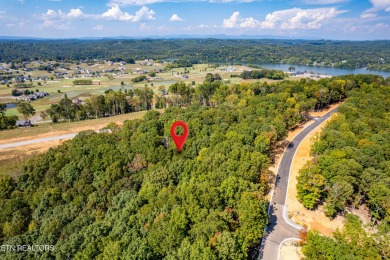 Yes-you can have it all! Build your dream home in Tennessee on Tennessee National Golf Club in Tennessee - for sale on GolfHomes.com, golf home, golf lot