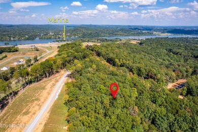 Yes-you can have it all! Build your dream home in Tennessee on Tennessee National Golf Club in Tennessee - for sale on GolfHomes.com, golf home, golf lot