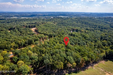 Yes-you can have it all! Build your dream home in Tennessee on Tennessee National Golf Club in Tennessee - for sale on GolfHomes.com, golf home, golf lot