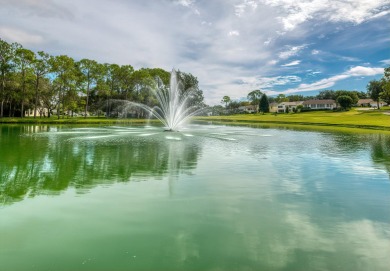 Seller is offering up to $11,000.00 credit at closing for on Timber Pines Golf Course in Florida - for sale on GolfHomes.com, golf home, golf lot