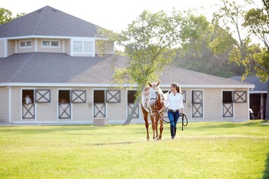 Elevator- Community Pool- Screen Porch-Stunning Marsh on The Seabrook Island Club in South Carolina - for sale on GolfHomes.com, golf home, golf lot
