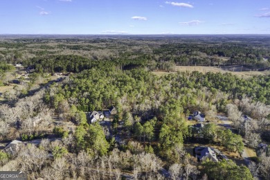 Welcome to Your Dream Home in Elberton! Discover this stunning on Elberton Country Club in Georgia - for sale on GolfHomes.com, golf home, golf lot