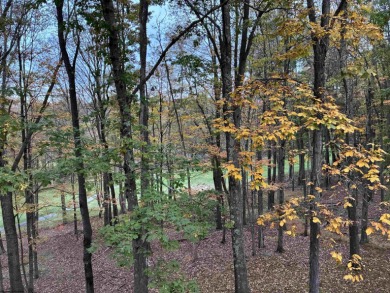 This open concept chalet home is nestled in the woods of Alpine on Alpine Lake Resort in West Virginia - for sale on GolfHomes.com, golf home, golf lot