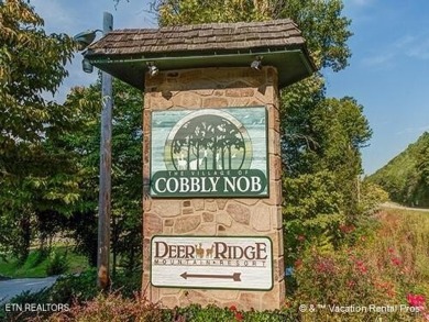 Spectacular Views. Spacious Design. Endless Potential. Welcome on Bent Creek Golf Course in Tennessee - for sale on GolfHomes.com, golf home, golf lot