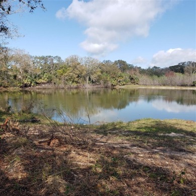 Location, location, location! Here is your chance to build your on Tarpon Springs Golf Course in Florida - for sale on GolfHomes.com, golf home, golf lot