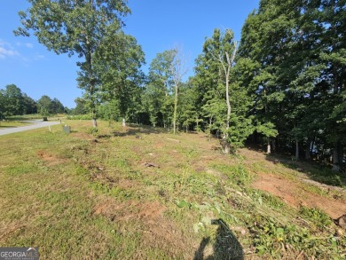 Welcome to 237 Southern Trace, a beautiful homesite nestled in on Currahee Golf Club in Georgia - for sale on GolfHomes.com, golf home, golf lot