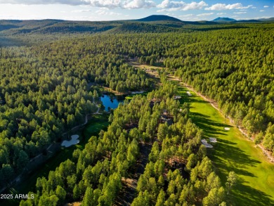 Home owner is a licensed Real Estate Agent in Arizona. This on Forest Highlands Golf Club - The Canyon in Arizona - for sale on GolfHomes.com, golf home, golf lot