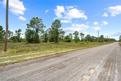 Excellent location! This Residential lot is just minutes from on Mirror Lakes Golf Club in Florida - for sale on GolfHomes.com, golf home, golf lot