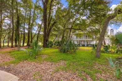 Golf Course Living at Its Finest!
Nestled beneath a canopy of on The King and Prince Golf Course, Home of the Hampton Club in Georgia - for sale on GolfHomes.com, golf home, golf lot