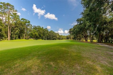 Golf Course Living at Its Finest!
Nestled beneath a canopy of on The King and Prince Golf Course, Home of the Hampton Club in Georgia - for sale on GolfHomes.com, golf home, golf lot