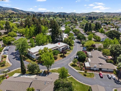 Beautifully updated 2-bedroom, 2-bath condo located in The on Villages Golf and Country Club in California - for sale on GolfHomes.com, golf home, golf lot