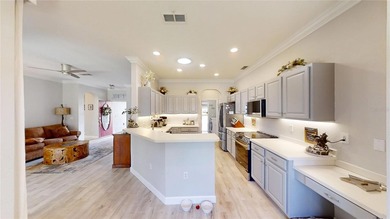 Beautifully upgraded Ayreshire model located in the sought-after on On Top of the World Golf Course in Florida - for sale on GolfHomes.com, golf home, golf lot