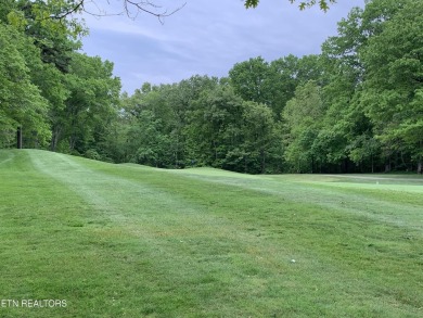 Beautiful flat, cleared lot on Dorchester Golf Course.  Take a on Dorchester Country Club in Tennessee - for sale on GolfHomes.com, golf home, golf lot