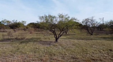 This is a great lot to build your future dream home or vacation on Hideout Golf Club and Resort  in Texas - for sale on GolfHomes.com, golf home, golf lot