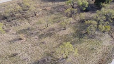This is a great lot to build your future dream home or vacation on Hideout Golf Club and Resort  in Texas - for sale on GolfHomes.com, golf home, golf lot
