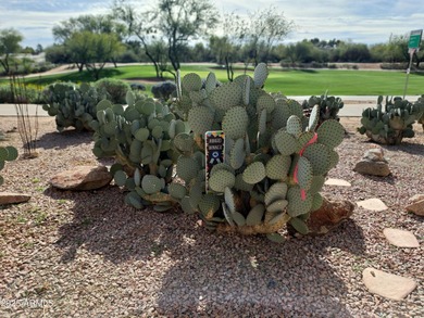 GOLF COURSE! GATED! UPDATED! Largest sf with THREE bedrooms on Scottsdale Silverado Golf Club in Arizona - for sale on GolfHomes.com, golf home, golf lot