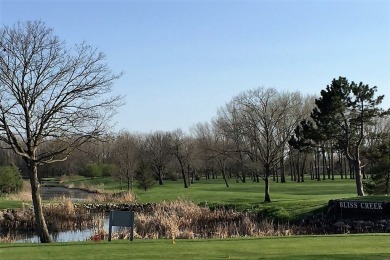 Stunning, impeccable Saloga built ranch with a spectacular on Bliss Creek Golf Club in Illinois - for sale on GolfHomes.com, golf home, golf lot