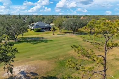 New Tile Roof in 2024! Welcome Home to 10114 Glenmore Ave in on The River Club in Florida - for sale on GolfHomes.com, golf home, golf lot