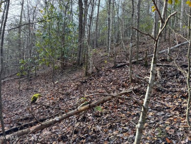 Seller says make an offer! 1+ acre Lot in the beautiful and on Bent Creek Golf Course in Tennessee - for sale on GolfHomes.com, golf home, golf lot
