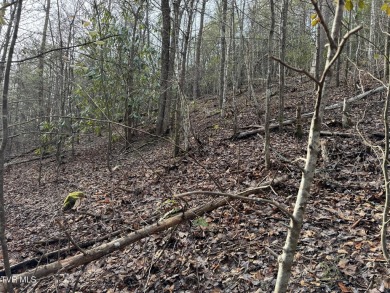 Seller says make an offer! 1+ acre Lot in the beautiful and on Bent Creek Golf Course in Tennessee - for sale on GolfHomes.com, golf home, golf lot