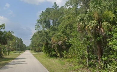Endless possibilities await with this spacious vacant lot in the on Bobcat Trail Golf Club in Florida - for sale on GolfHomes.com, golf home, golf lot