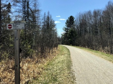 This beautiful wooded building site in one of Indian River's on Indian River Golf Club in Michigan - for sale on GolfHomes.com, golf home, golf lot