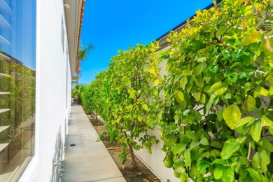 The beautifully relandscaped front yard with faux grass, exotic on Indian Ridge Country Club in California - for sale on GolfHomes.com, golf home, golf lot