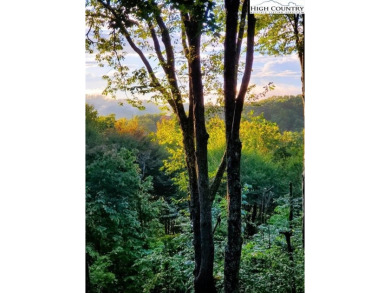 Remarkable Beech Mountain Home - With mountain view.  
 on Beech Mountain Club in North Carolina - for sale on GolfHomes.com, golf home, golf lot
