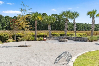 Listed BELOW Tax Value! Welcome to Easy Living in The Grove at on Crow Creek Golf Club in North Carolina - for sale on GolfHomes.com, golf home, golf lot