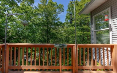 Lake Balboa WATERFRONT on a 3/4+ acre lot with a $40k Boat Dock! on Ponce De Leon Golf Course in Arkansas - for sale on GolfHomes.com, golf home, golf lot